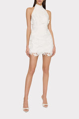 Olivia Rose Trellis Lace Mini Dress White | Milly Women