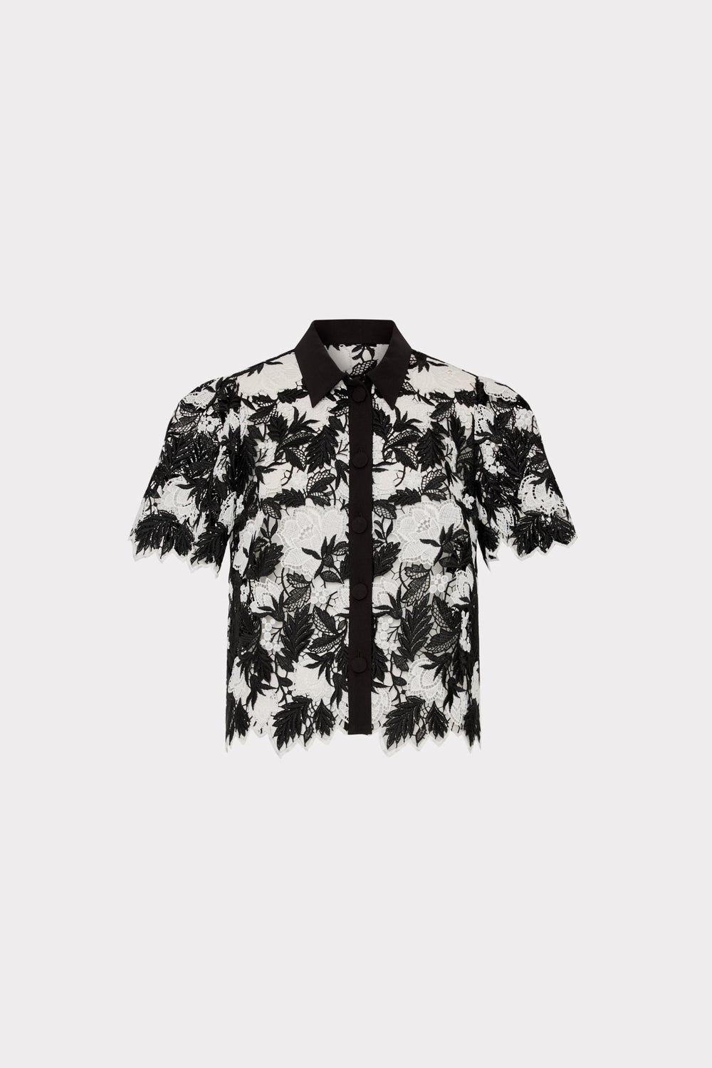 Addison Two Tone Lace Top Black/White | Milly Women