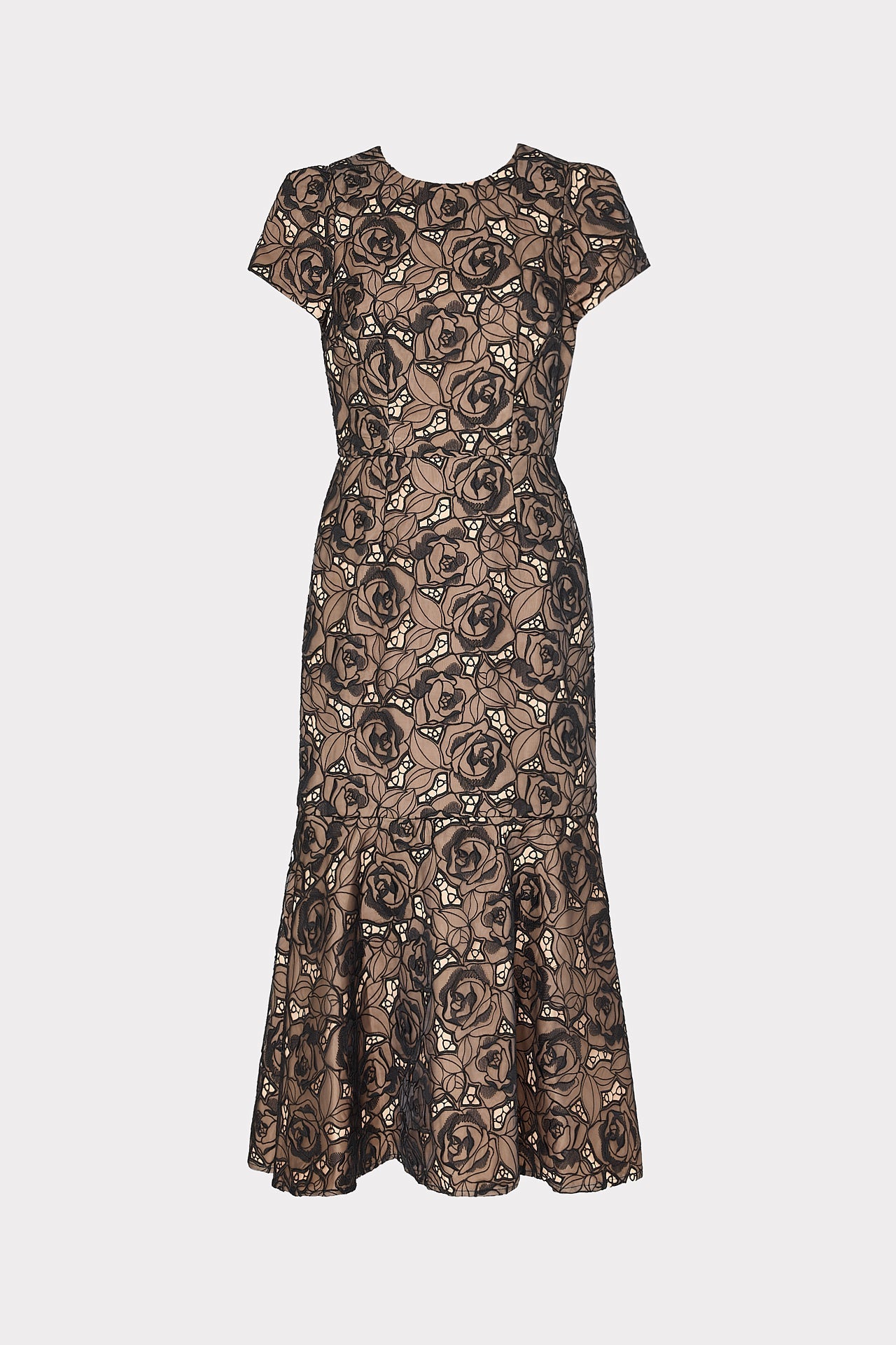 Tahlia Rose Mesh Embroidered Dress Black | Milly Women