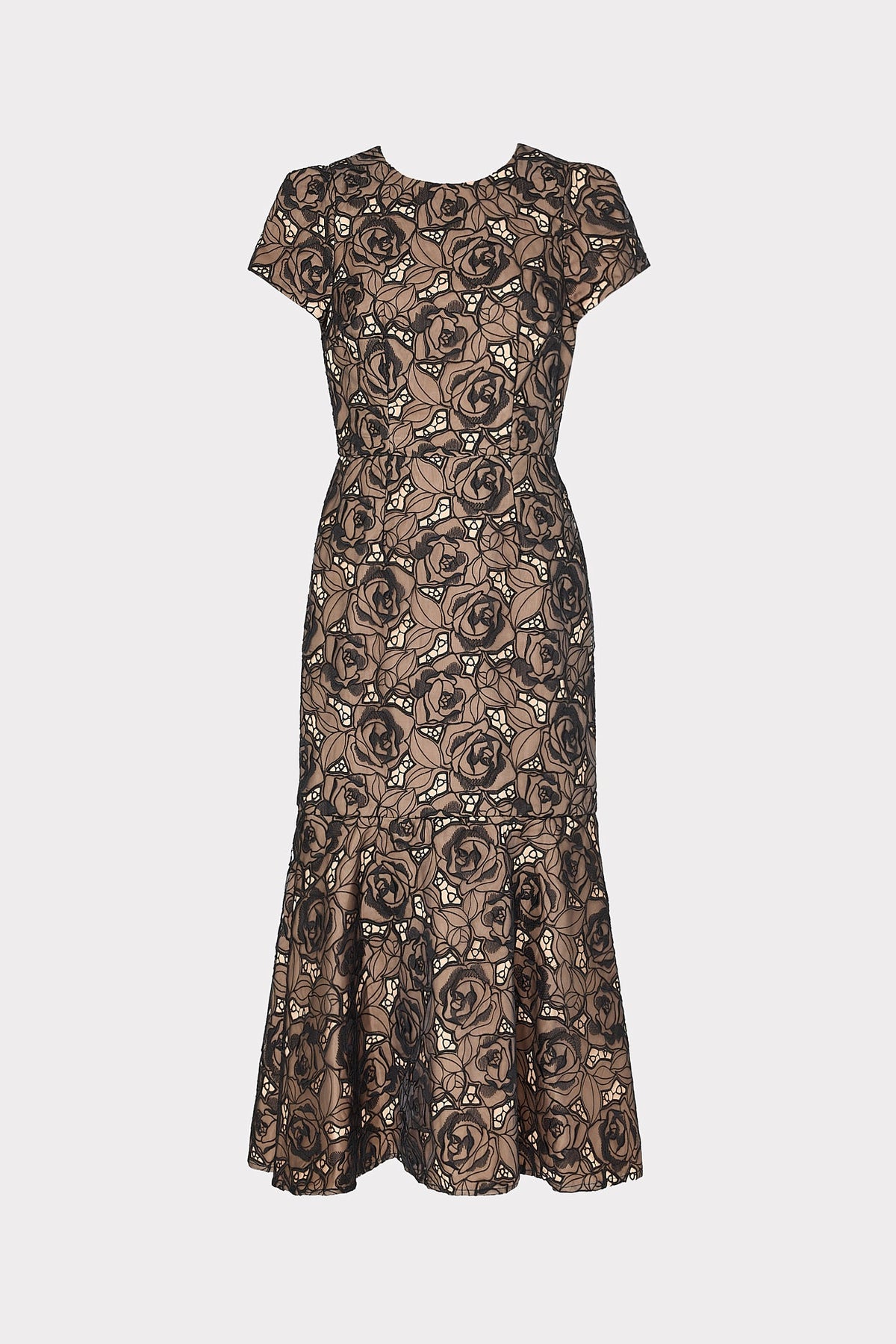 Tahlia Rose Mesh Embroidered Dress Black | Milly Women