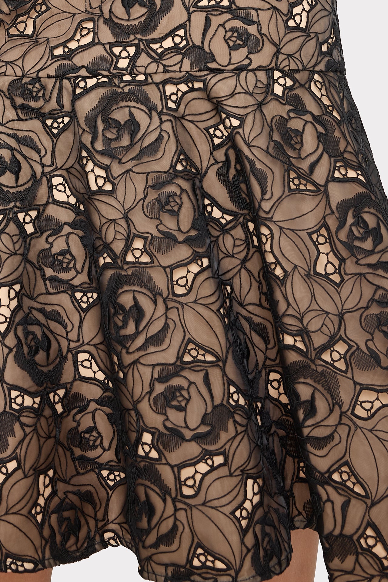 Tahlia Rose Mesh Embroidered Dress Black | Milly Women