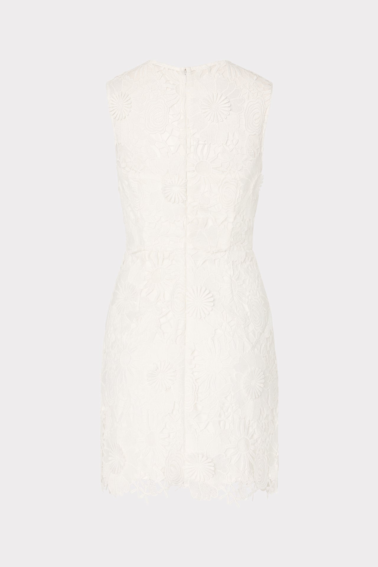 Judy Lace Mini Dress White | Milly Women