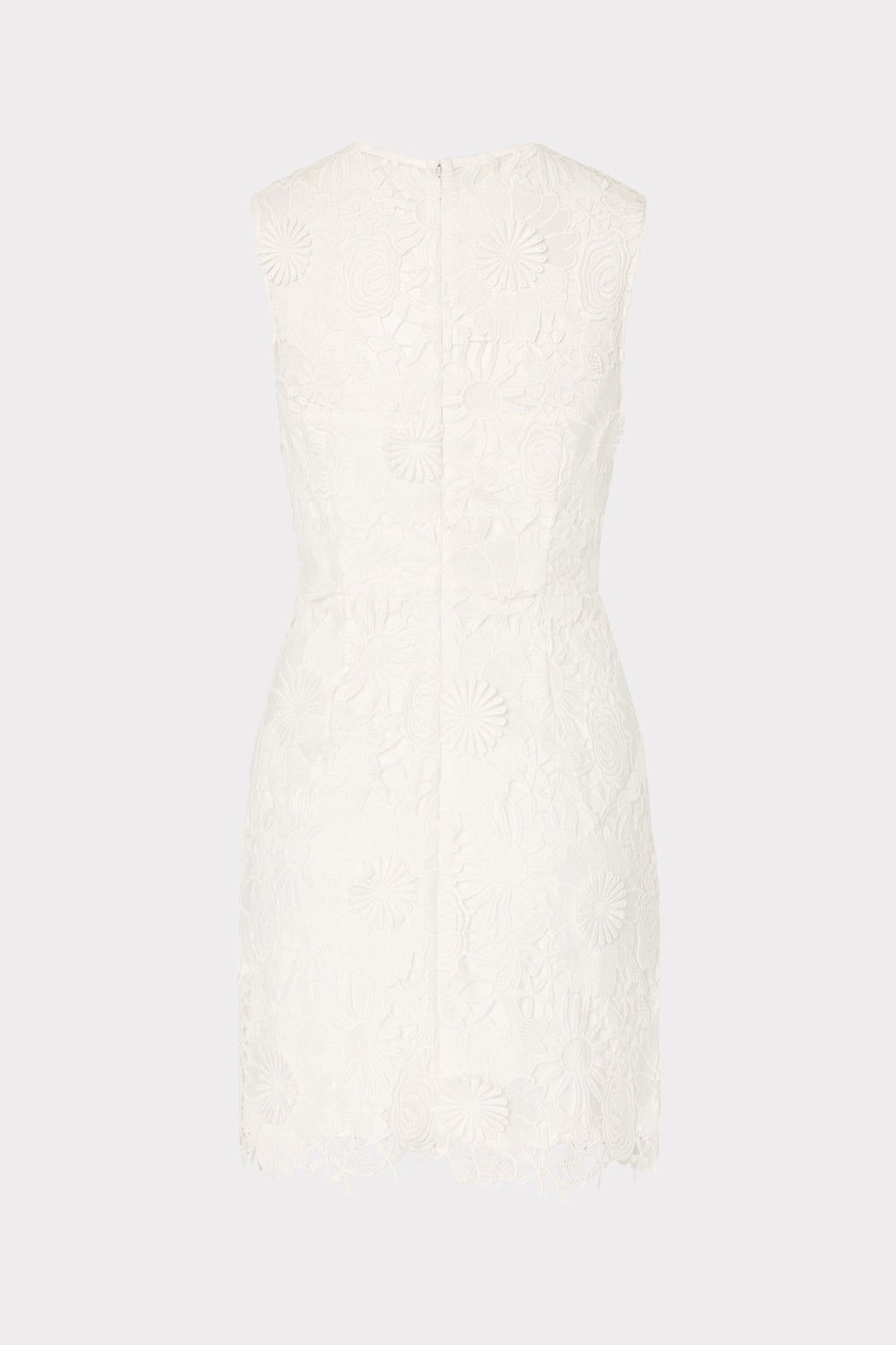Judy Lace Mini Dress White | Milly Women