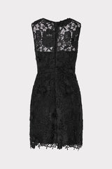 Judy Lace Mini Dress Black | Milly Women