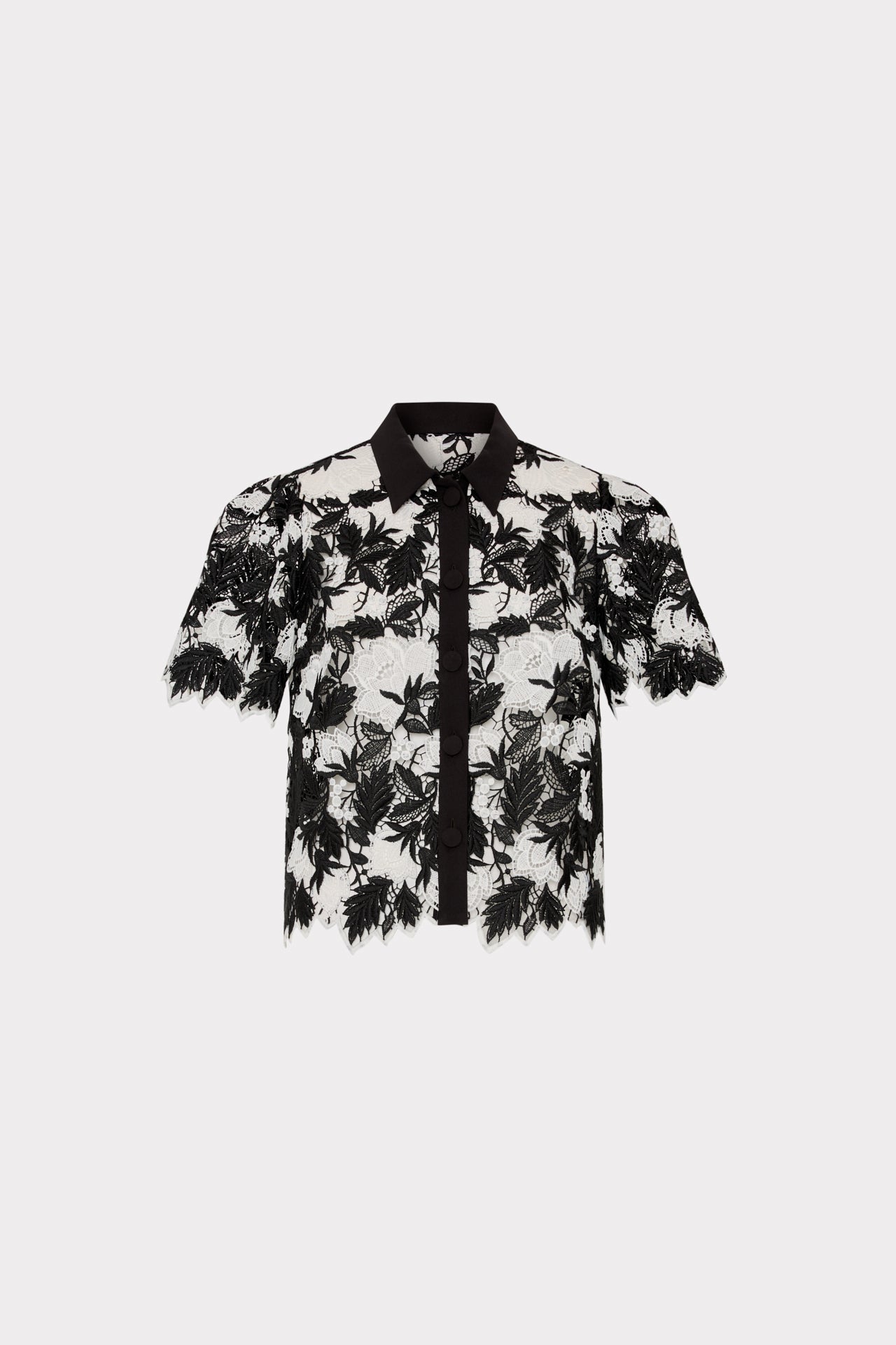 Addison Two Tone Lace Top Black/White | Milly Women