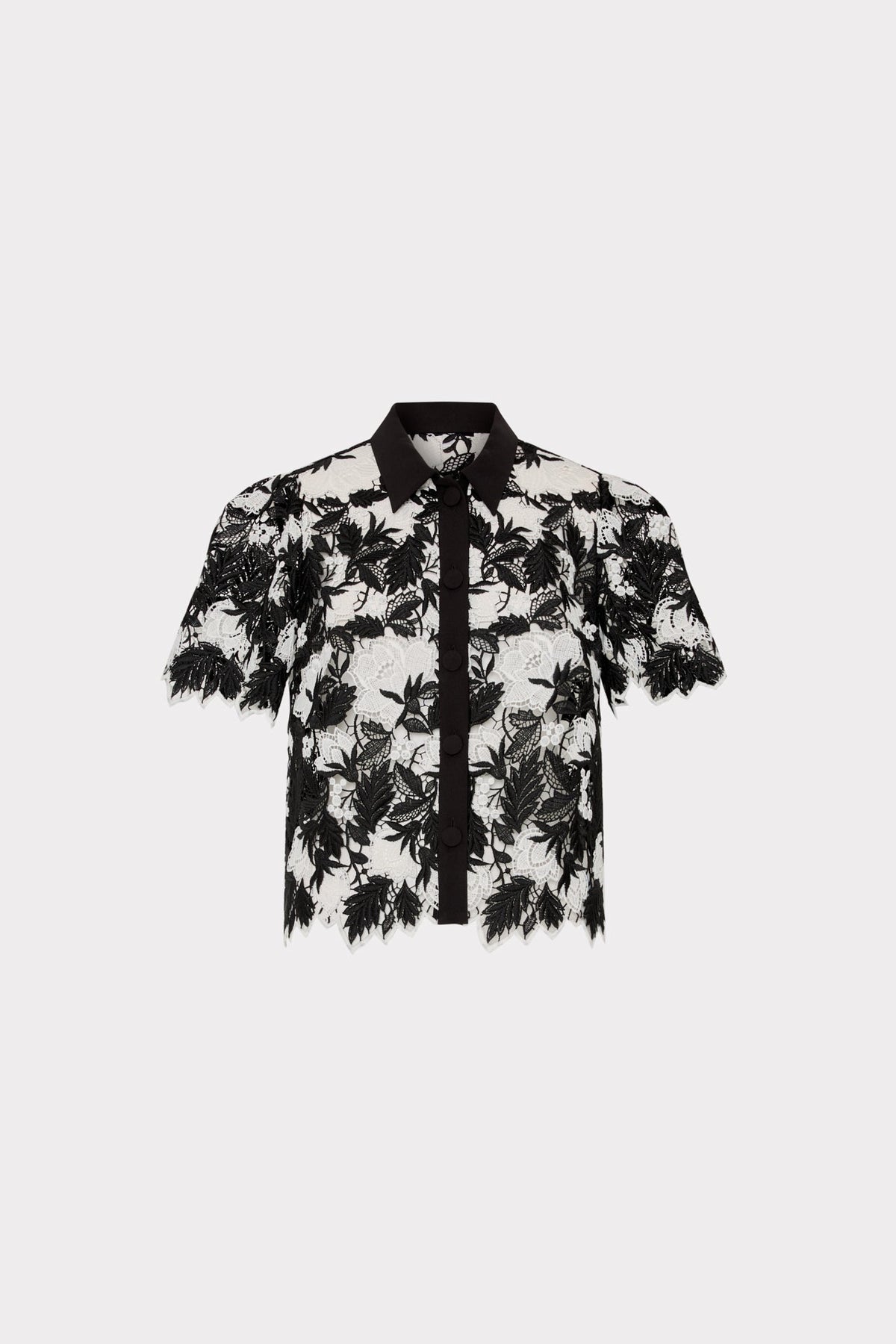 Addison Two Tone Lace Top Black/White | Milly Women