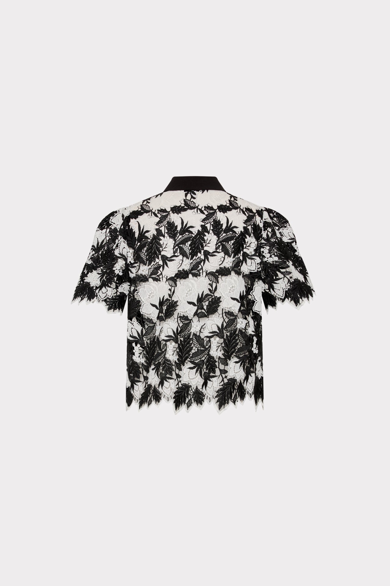 Addison Two Tone Lace Top Black/White | Milly Women