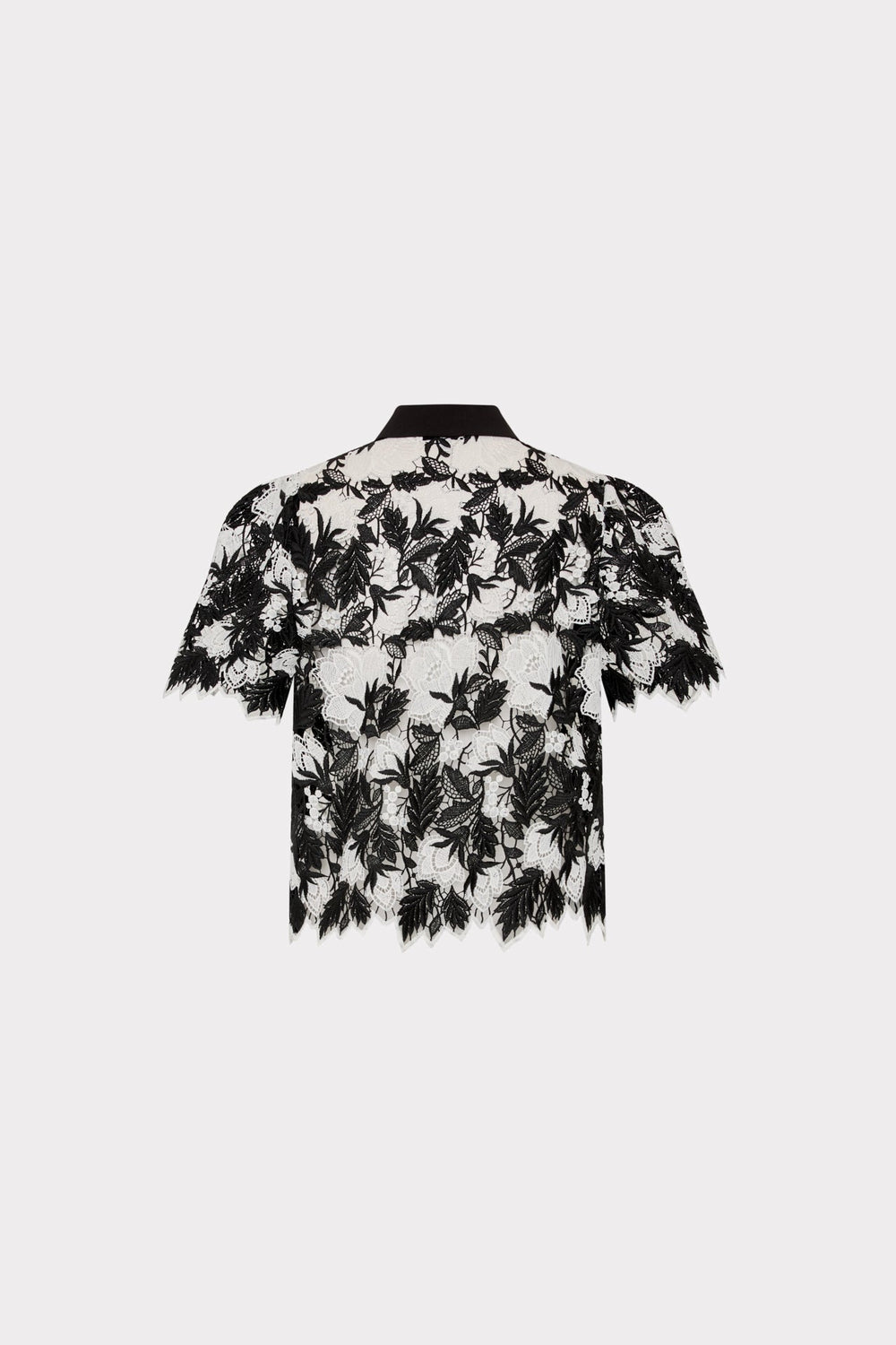 Addison Two Tone Lace Top Black/White | Milly Women